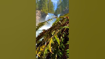 [سورة النساء]»{79}