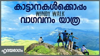 Windy Walk Trekking | Vagavanam Forest Trekking Vagamon | വാഗവനം വാഗമൺ screenshot 2