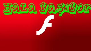 Adobe Flash Player Olmadan Flash Oyunlari Oynamak