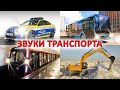 Звуки транспорта. Транспорт и техника для детей. Развивающие видео для малышей про машинки 2