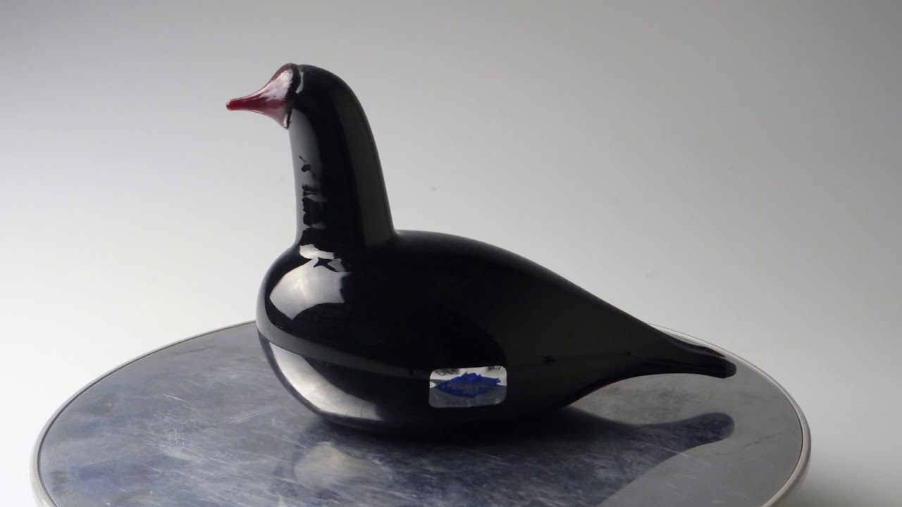 Oiva Toikka Bald coot