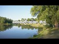 Hendirikka Mal (හෙන්දිරික්කා මල්) - Official Music Video