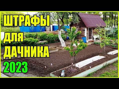 ШТРАФЫ ДЛЯ ДАЧНИКОВ В 2023 ГОДУ. Что можно делать. Что нельзя делать.