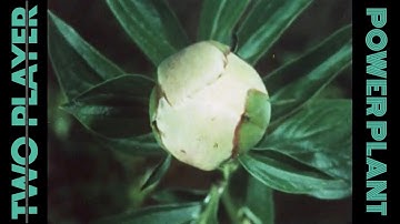 Two Player: Power Plant (Music Video)