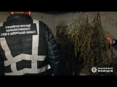 На Запоріжжі поліцейські вилучили понад 20 кг марихуани