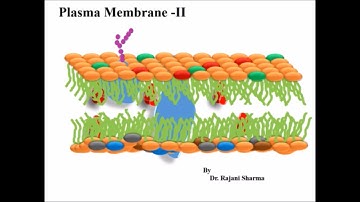 Plasma Membrane II as perJNU, CSIR-NET, GATE, DBT, GRE and ICMR syllabus