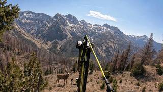Solo High Country Mule Deer Adventure (I GOT LUCKY)