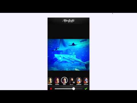 Afterlight Review