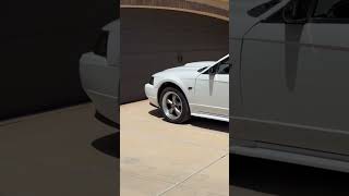 Snowy finally getting a wash