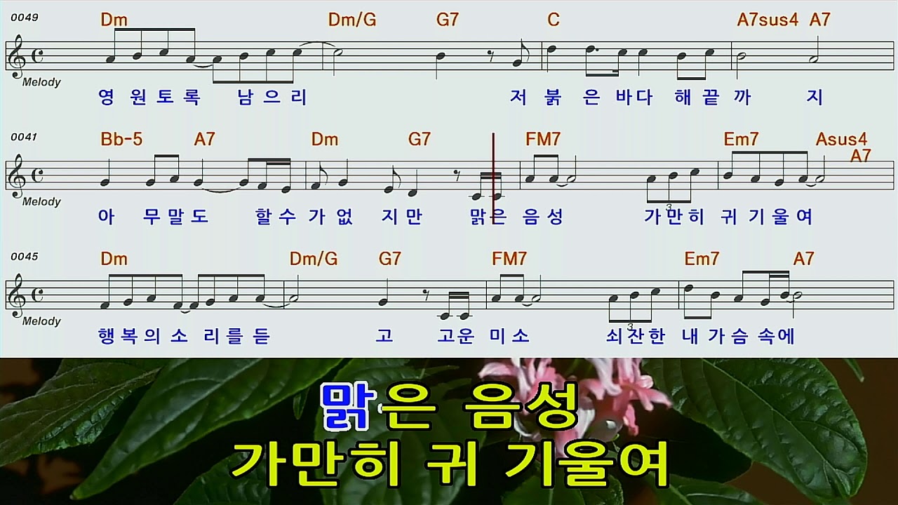 그대와영원히/이문세 남자키mr오선악보영상