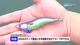 エギの水平ステイで果敢に攻略 イカに抱かせるティップラン～三重県
