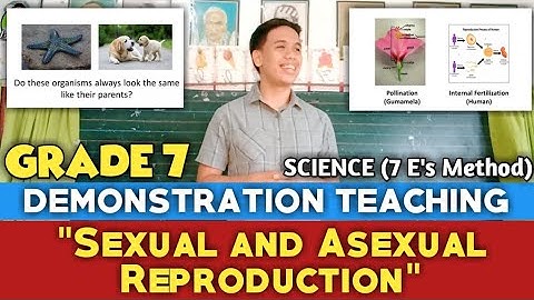 Grade 7 Demonstration Teaching (Science - 7 E