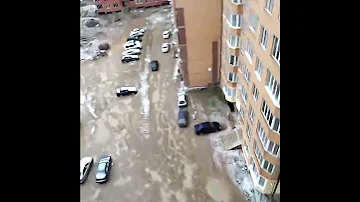 Синий кит