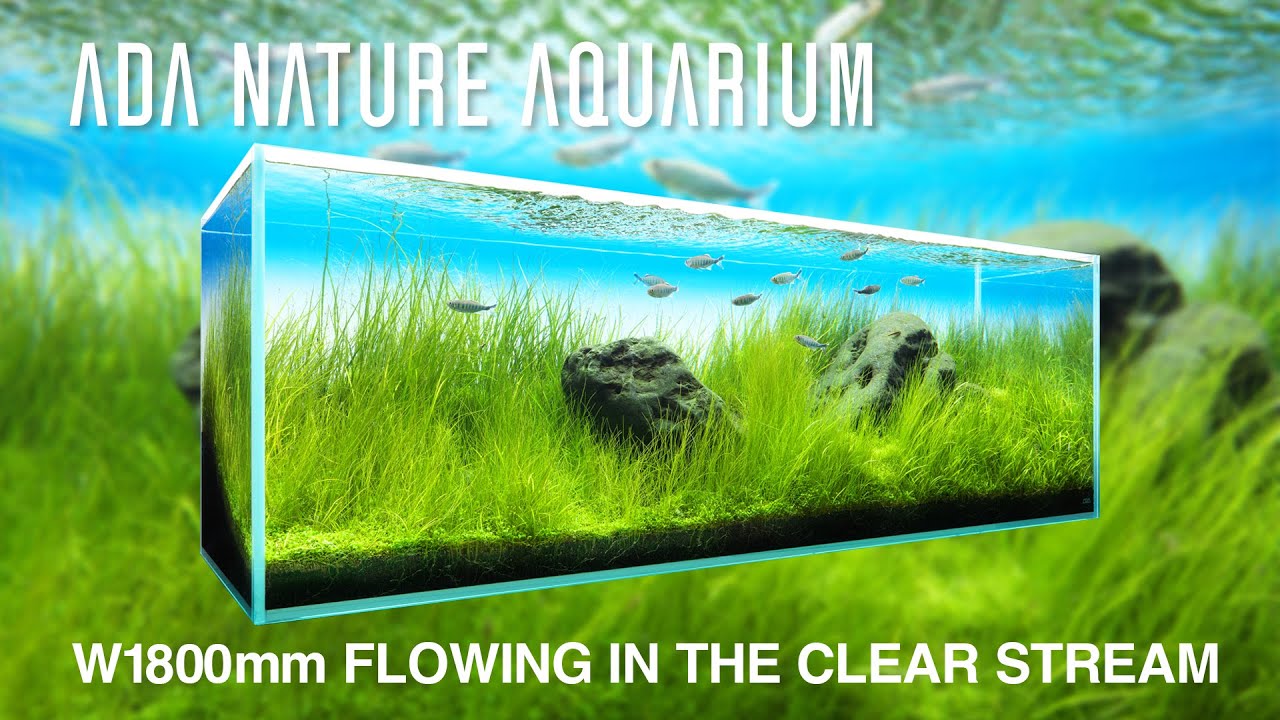 [ADAview] Flowing in the Clear Stream／清流になびく  - W1800mm Nature Aquarium Layout-【EN/JP Sub.】