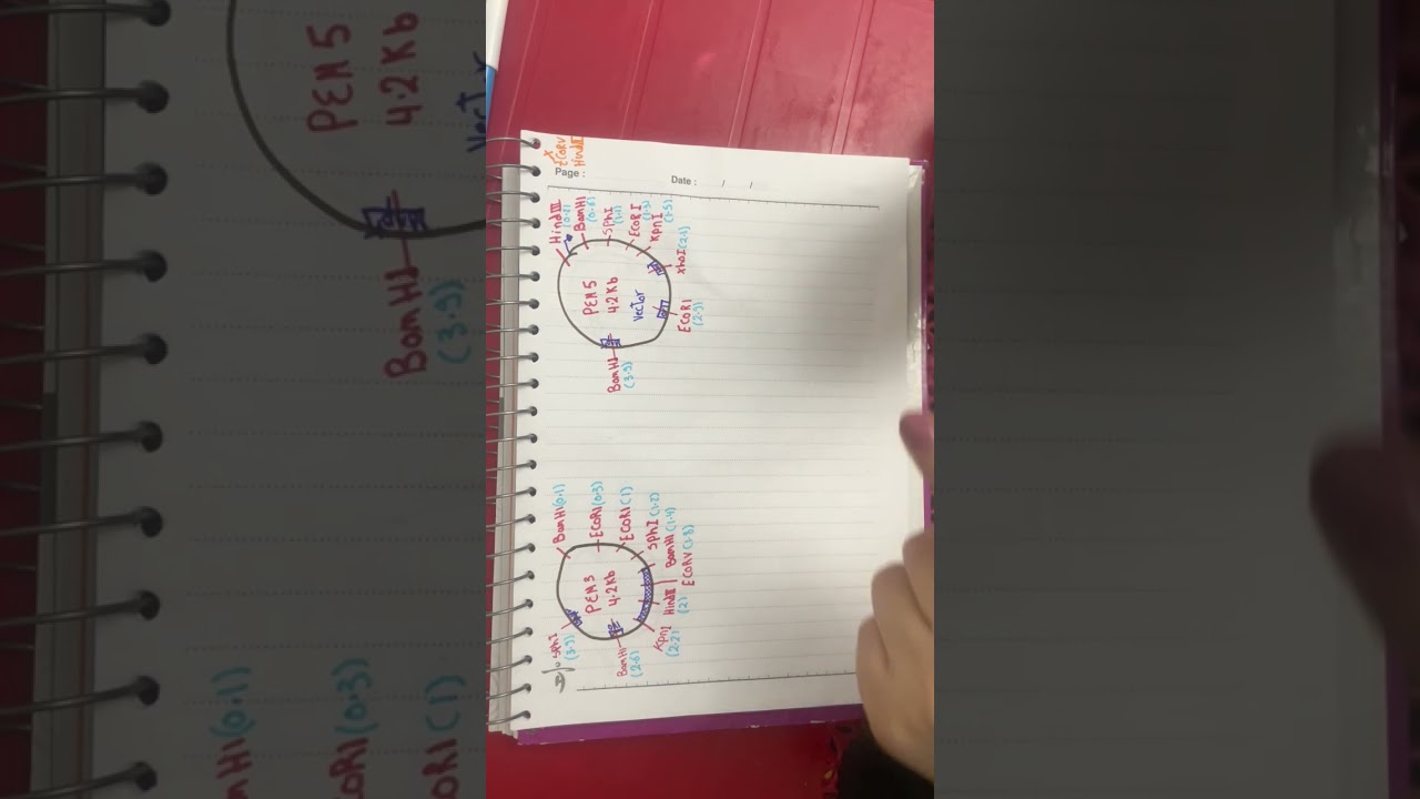 Recombinant Vector Problems