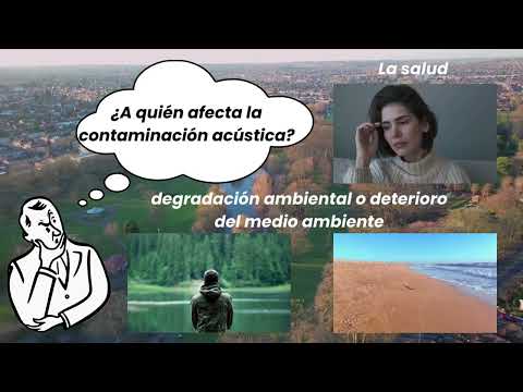 Contaminación auditiva como
