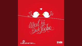 Weil ich Dich Liebe -Fuel Pump RMX (Fuel Pump RMX)