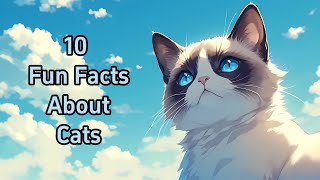 10 Fun Facts about CATS! Uncover How They See, Sense, and Survive!