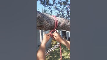 How to Tie the Cow Hitch, Hitch Perfect for RIgging!