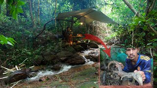 2 Days Solo Survival Camping In Rain Forest មួយយប់មួយថ្ងៃក្នុងព្រៃរកអាហាបែបព្រៃភ្នំ