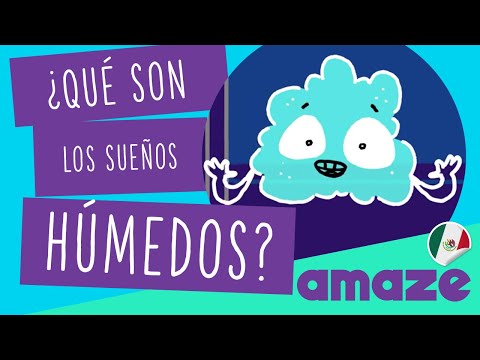 Video: Qué es un sueño húmedo y quién se caracteriza por esta característica fisiológica