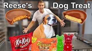 Recreating Classic Candy for Dogs that they can eat! screenshot 2