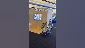 Soon… you’ll need humanoids to walk your robot dogs 😱 | Link in bio 🦾 #toborlife #unitree