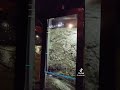 CAMINHÕES PARADO EM VALENCIA #esquadraotruck