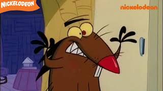 Les Castors Allumés - Les Blagues Au Téléphone