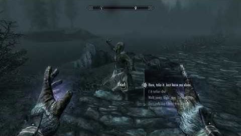 Brave Argonian Thief