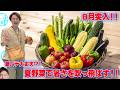【LIVE】夏野菜で暑さを吹っ飛ばすLIVE!!【ぞうさんパクパク】【大食い】