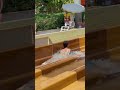 ☀️The Wonder Of Aqua Park Fun Water Slide -Summer Holiday 💦16 #waterslide #aquapark