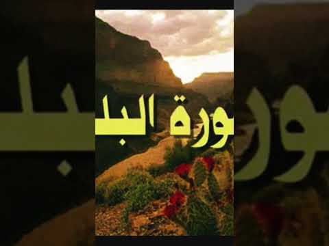 تلاوات للشيخ وليد النائحي 