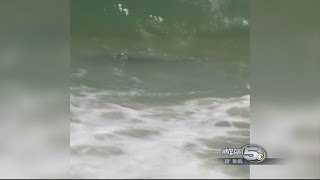 CAUGHT ON CAMERA: Shark Spotted Near Shore in Orange Beach