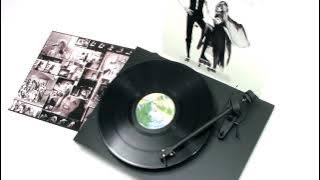 Fleetwood Mac - Dreams ( Vinyl Video)