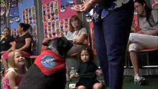 PAWS for Reading