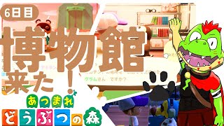 【6日目】博物館ができちゃうぞ！【川鰐グラムのあつまれどうぶつの森実況】