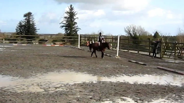 Walk Trot Canter Starter 3 Amanda Conroy and Woody