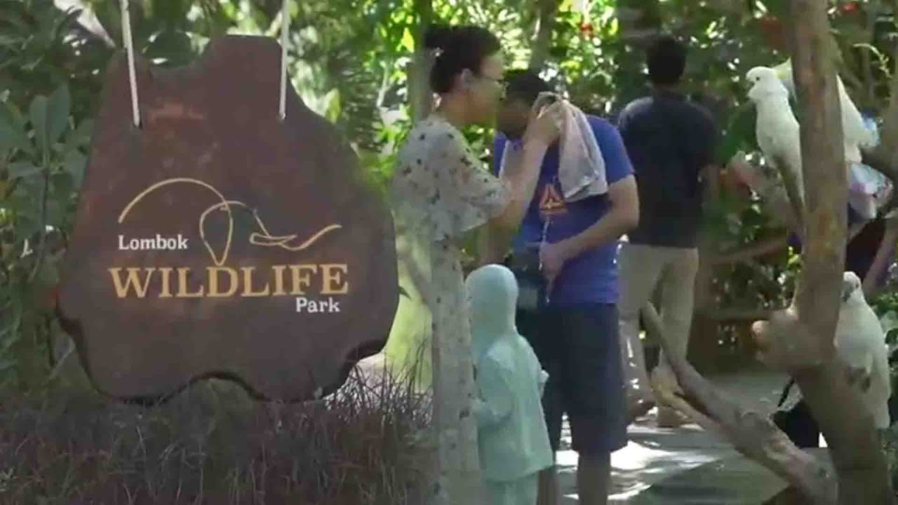 Lombok WILDLIFE Park - YouTube