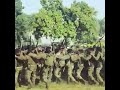 #crpfstatus #army #armylover #ytshorts #indianarmy #faujistatus #police #commando