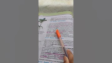 Important points of Animal Kingdom💯 | You must not miss | NEET | Class-11 | ध्यान दो 😌