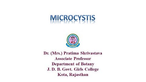 Dr. Pratima Shrivastava, M. Sc. Sem I, Paper I, Unit II, Microcystis