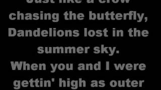 Miniatura de vídeo de "Shinedown The Crow and the Butterfly (lyrics)"