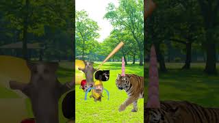 Banana cat and friend vs tiger