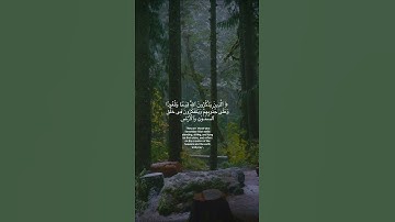 من روائع التلاوة - ماتيسر من سورة لــقمان | القارئ ياسر الدوسري
