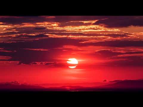 BTS DNA Hyundai Palisade Commercial Audio Only