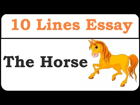 5 sentences about horse in english