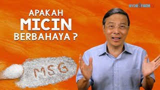 APAKAH MICIN (MSG) BERBAHAYA ??