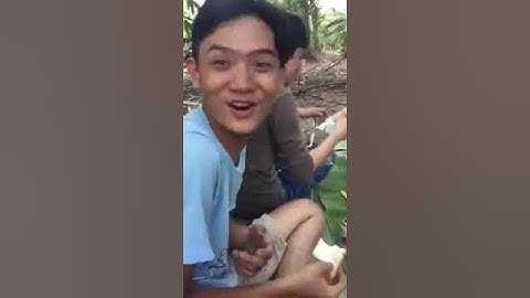 Câu cá Miệt vườn