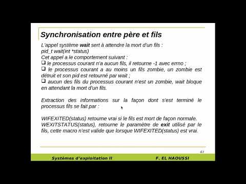 Vidéo: Différence Entre L'appel Système Et L'appel De Fonction